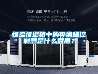 知識百科恒溫恒濕箱中的可編程控制器是什么意思？