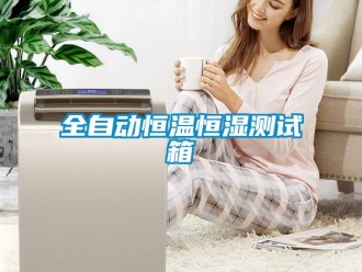 知識百科全自動恒溫恒濕測試箱