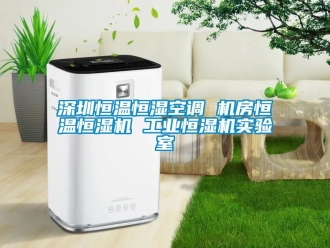 知識百科深圳恒溫恒濕空調 機房恒溫恒濕機 工業恒濕機實驗室