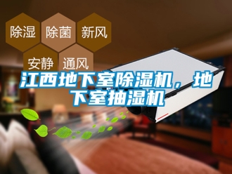 行業新聞江西地下室除濕機，地下室抽濕機