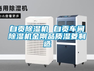 企業新聞自貢除濕機 自貢車間除濕機金剛品質濕菱制造