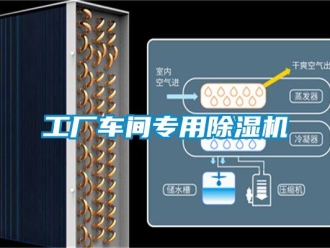 企業新聞工廠車間專用除濕機