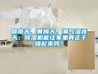 行業(yè)新聞回南天、黃梅天，潮氣濕連天：除濕機能讓家里真正干燥起來嗎？