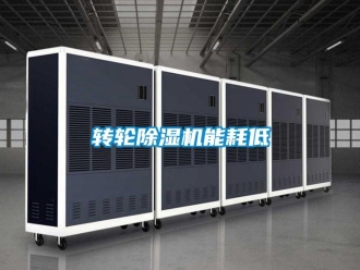 知識百科轉(zhuǎn)輪除濕機能耗低