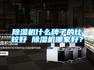 行業新聞除濕機什么牌子的比較好 除濕機哪家好？