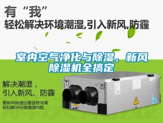 知識百科室內空氣凈化與除濕，新風除濕機全搞定