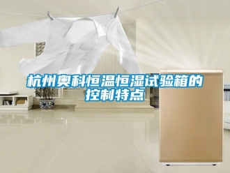 知識(shí)百科杭州奧科恒溫恒濕試驗(yàn)箱的控制特點(diǎn)