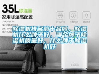 企業新聞除濕機排名前十品牌，除濕機什么牌子好，哪個牌子除濕機質量好，什么牌子除濕機好