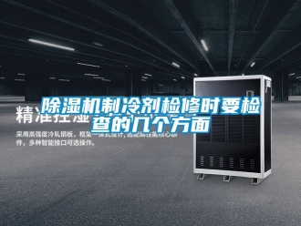 企業(yè)新聞除濕機制冷劑檢修時要檢查的幾個方面
