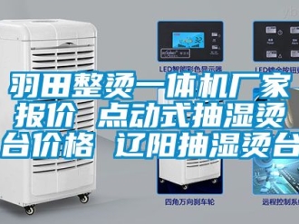企業新聞羽田整燙一體機廠家報價 點動式抽濕燙臺價格 遼陽抽濕燙臺