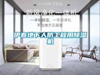 行業(yè)新聞伊春地下人防工程用除濕機(jī)
