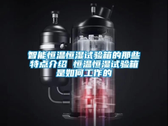 知識百科智能恒溫恒濕試驗箱的那些特點介紹 恒溫恒濕試驗箱是如何工作的
