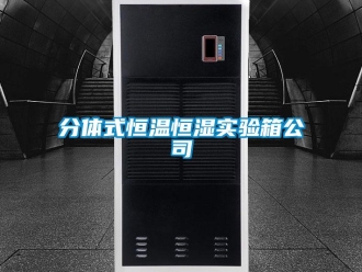 知識百科分體式恒溫恒濕實驗箱公司