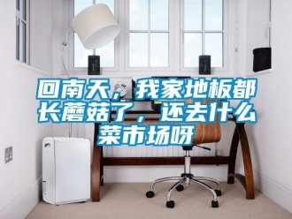 行業(yè)新聞回南天，我家地板都長蘑菇了，還去什么菜市場呀
