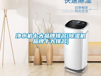 企業新聞凈水機十大品牌排名(除濕機品牌十大排名)