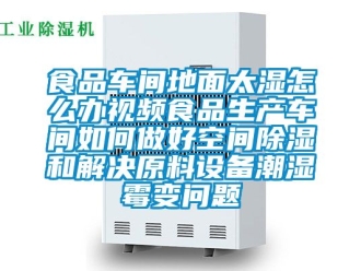 企業新聞食品車間地面太濕怎么辦視頻食品生產車間如何做好空間除濕和解決原料設備潮濕霉變問題