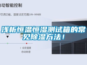 知識百科淺析恒溫恒濕測試箱的常見除濕方法！