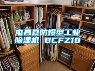 企業(yè)新聞屯昌縣防爆型工業(yè)除濕機(jī) BCFZ10