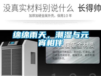 行業新聞綿綿雨天，潮濕與元宵相伴