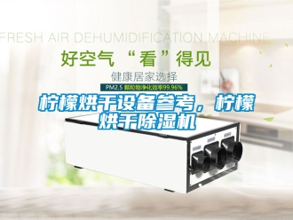 行業新聞檸檬烘干設備參考，檸檬烘干除濕機