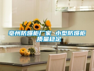 企業新聞亳州防爆柜廠家 小型防爆柜 質量穩定