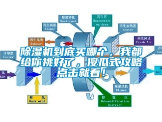 企業新聞除濕機到底買哪個，我都給你挑好了，傻瓜式攻略點擊就看！