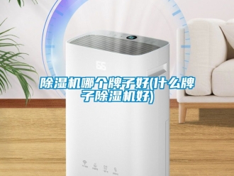 行業新聞除濕機哪個牌子好(什么牌子除濕機好)