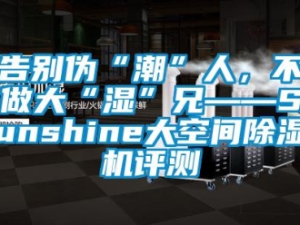 行業新聞告別偽“潮”人，不做大“濕”兄——Sunshine大空間除濕機評測