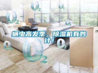 行業(yè)新聞螨蟲高發(fā)季，除濕機有妙計！