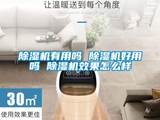 行業新聞除濕機有用嗎 除濕機好用嗎 除濕機效果怎么樣