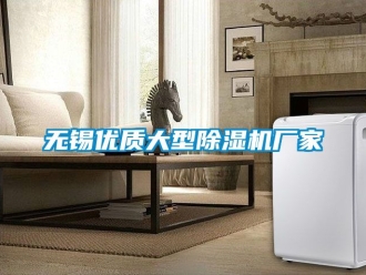 企業新聞無錫優質大型除濕機廠家