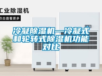 行業(yè)新聞冷凝除濕機(jī)—冷凝式和輪轉(zhuǎn)式除濕機(jī)功能對比
