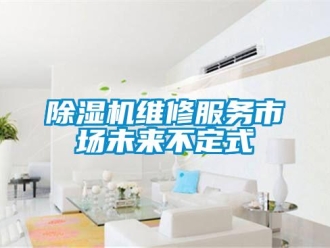 企業(yè)新聞除濕機維修服務(wù)市場未來不定式