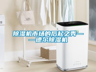 企業(yè)新聞除濕機(jī)市場的后起之秀——德爾除濕機(jī)