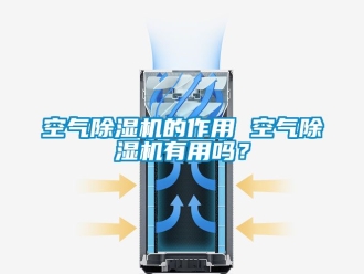 行業新聞空氣除濕機的作用 空氣除濕機有用嗎？