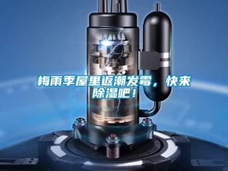 行業新聞梅雨季屋里返潮發霉，快來除濕吧！