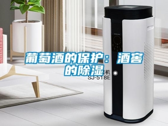 行業(yè)新聞葡萄酒的保護：酒窖的除濕