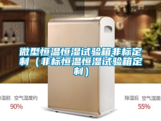 知識百科微型恒溫恒濕試驗箱非標定制（非標恒溫恒濕試驗箱定制）