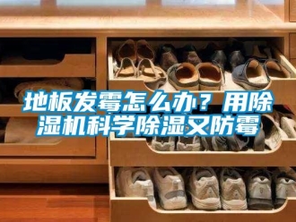 行業新聞地板發霉怎么辦？用除濕機科學除濕又防霉