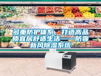 企業(yè)新聞多重防護(hù)體系，打造高品質(zhì)宜居舒適生活——防霾新風(fēng)除濕系統(tǒng)