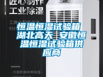 知識百科恒溫恒濕試驗箱 湖北高天 安徽恒溫恒濕試驗箱供應商