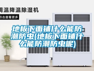 企業新聞地板下面鋪什么能防潮防蟲(地板下面鋪什么能防潮防蟲呢)