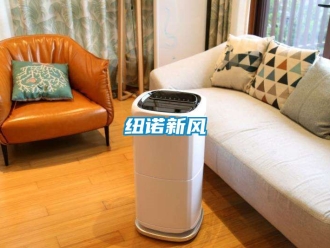 企業新聞紐諾新風