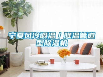 行業(yè)新聞寧夏風(fēng)冷調(diào)溫／降溫管道型除濕機