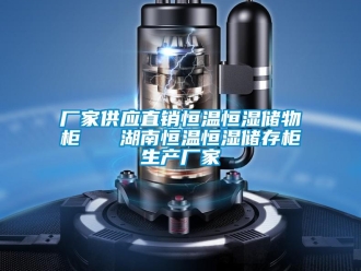 知識百科廠家供應(yīng)直銷恒溫恒濕儲物柜   湖南恒溫恒濕儲存柜生產(chǎn)廠家