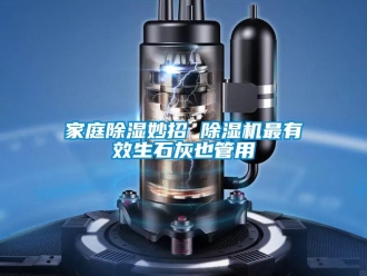 行業(yè)新聞家庭除濕妙招 除濕機(jī)最有效生石灰也管用