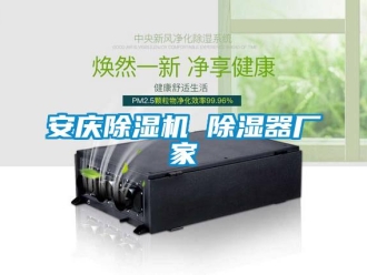 企業新聞安慶除濕機 除濕器廠家