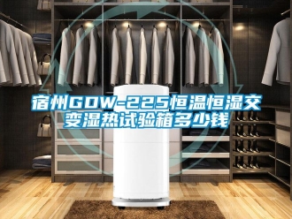 知識(shí)百科宿州GDW-225恒溫恒濕交變濕熱試驗(yàn)箱多少錢