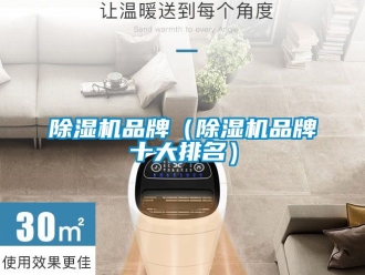 企業(yè)新聞除濕機(jī)品牌（除濕機(jī)品牌十大排名）