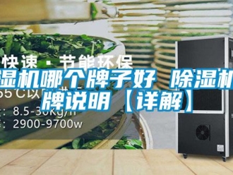 企業新聞除濕機哪個牌子好 除濕機品牌說明【詳解】